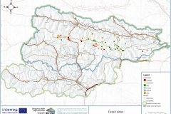 Fossil sites