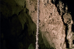 Grotta Magico Alverman - concrezione
