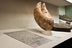 Museo geologico della Carnia – Ampezzo