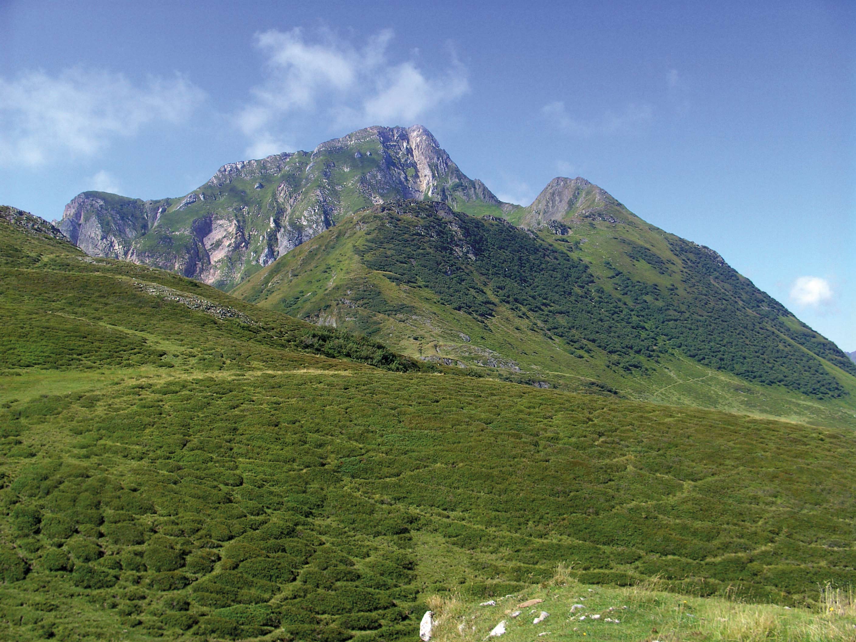 HP_2_Geol-u-Lands_Blick_hohen-u-kleinen-Trieb_Low